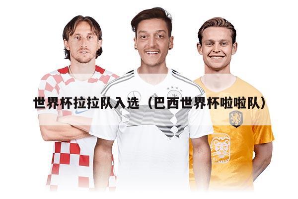 世界杯拉拉队入选（巴西世界杯啦啦队）