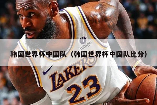 韩国世界杯中国队（韩国世界杯中国队比分）