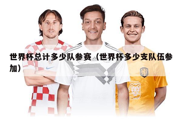 世界杯总计多少队参赛（世界杯多少支队伍参加）