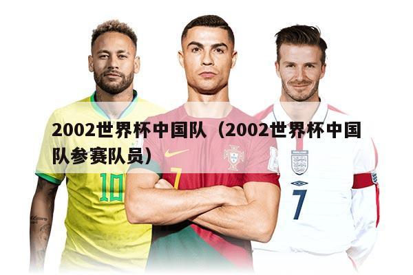 2002世界杯中国队（2002世界杯中国队参赛队员）