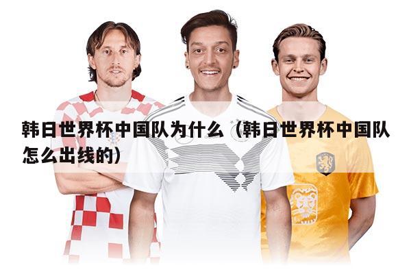 韩日世界杯中国队为什么（韩日世界杯中国队怎么出线的）