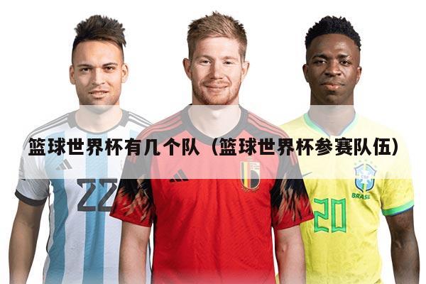 篮球世界杯有几个队（篮球世界杯参赛队伍）