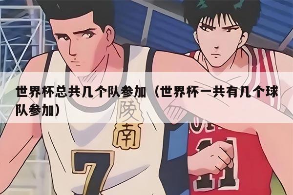 世界杯总共几个队参加（世界杯一共有几个球队参加）