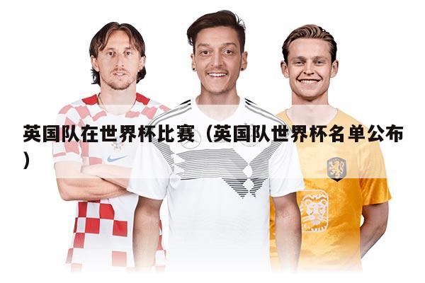英国队在世界杯比赛（英国队世界杯名单公布）