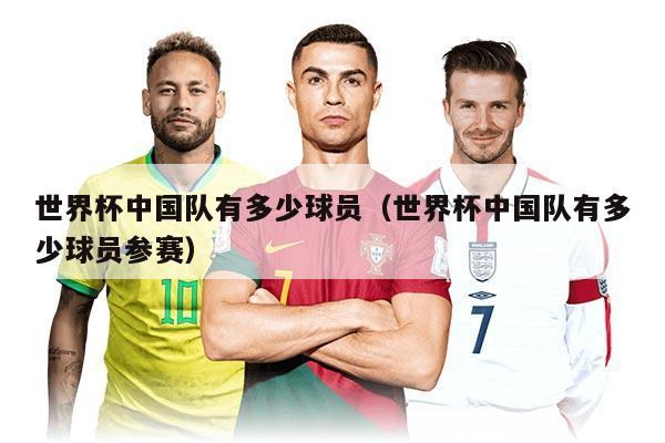 世界杯中国队有多少球员（世界杯中国队有多少球员参赛）