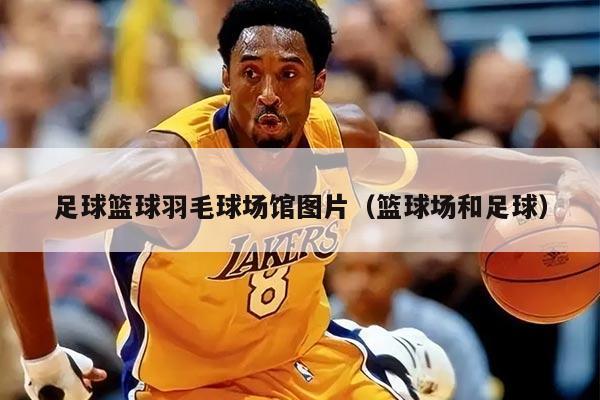 足球篮球羽毛球场馆图片（篮球场和足球）