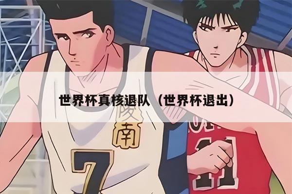 世界杯真核退队（世界杯退出）
