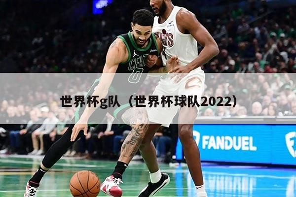 世界杯g队（世界杯球队2022）
