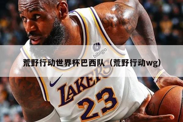 荒野行动世界杯巴西队（荒野行动wg）