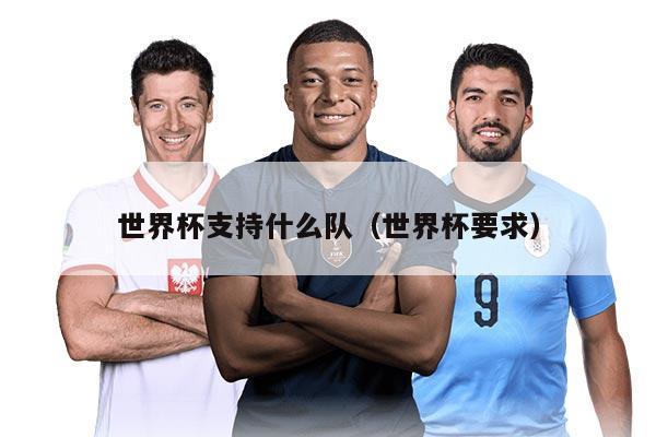 世界杯支持什么队(世界杯要求)