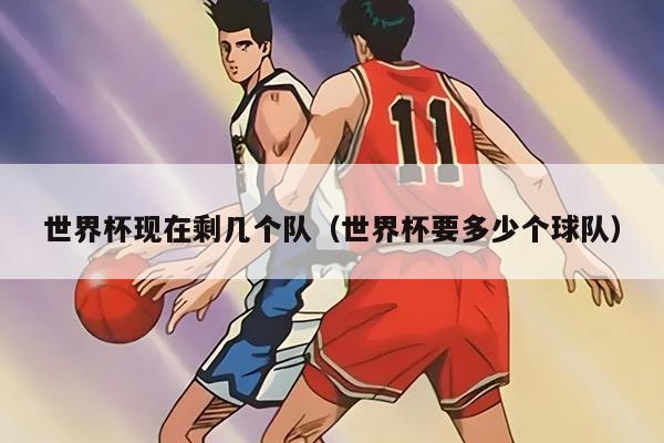 世界杯现在剩几个队（世界杯要多少个球队）