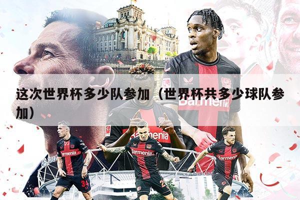 这次世界杯多少队参加（世界杯共多少球队参加）