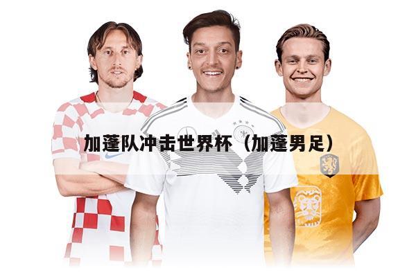 加蓬队冲击世界杯（加蓬男足）