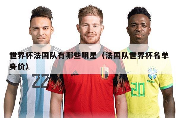 世界杯法国队有哪些明星（法国队世界杯名单身价）