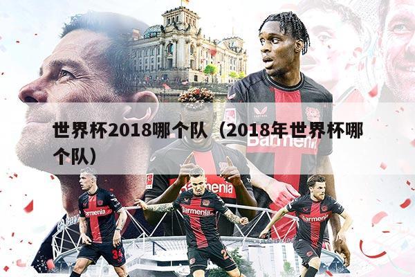 世界杯2018哪个队（2018年世界杯哪个队）