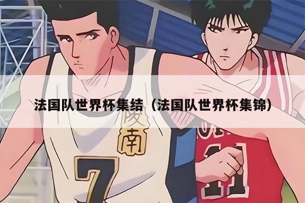 法国队世界杯集结（法国队世界杯集锦）