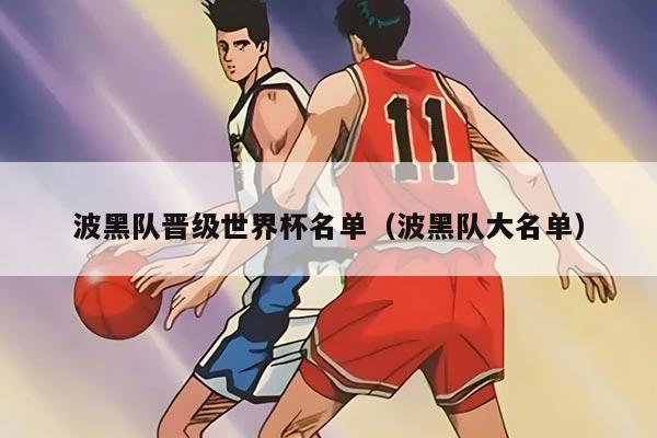 波黑队晋级世界杯名单（波黑队大名单）