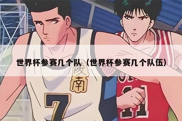 世界杯参赛几个队（世界杯参赛几个队伍）