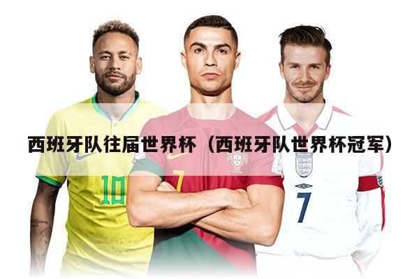 西班牙队往届世界杯（西班牙队世界杯冠军）