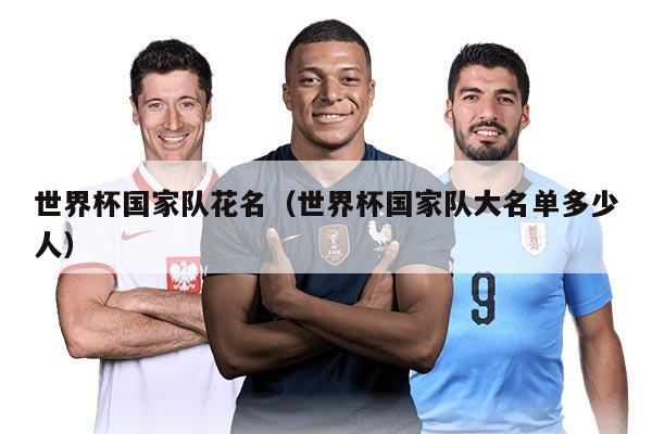 世界杯国家队花名（世界杯国家队大名单多少人）