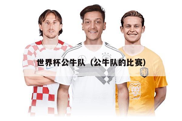 世界杯公牛队（公牛队的比赛）
