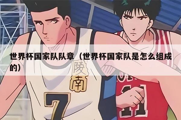 世界杯国家队队章（世界杯国家队是怎么组成的）