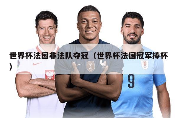 世界杯法国非法队夺冠（世界杯法国冠军捧杯）