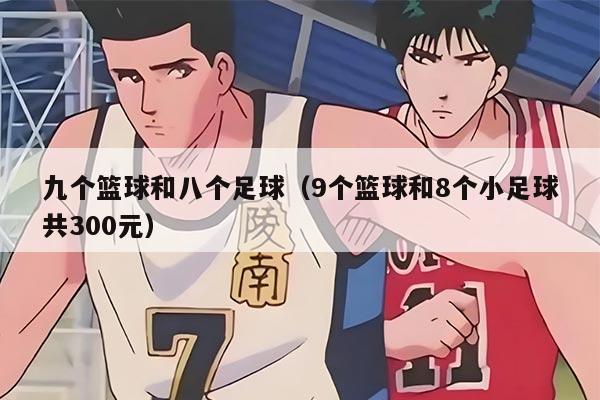 九个篮球和八个足球（9个篮球和8个小足球共300元）