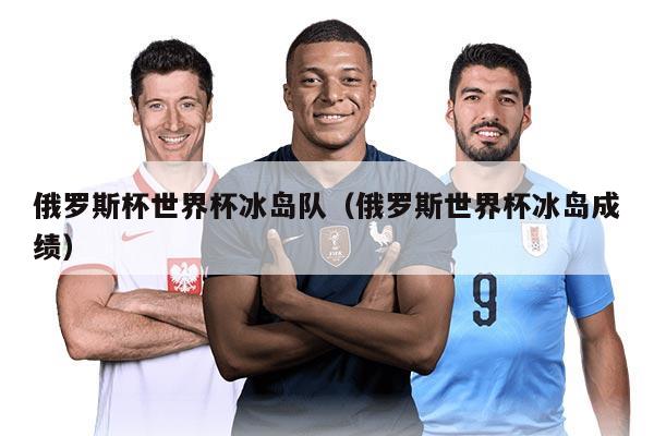 俄罗斯杯世界杯冰岛队（俄罗斯世界杯冰岛成绩）
