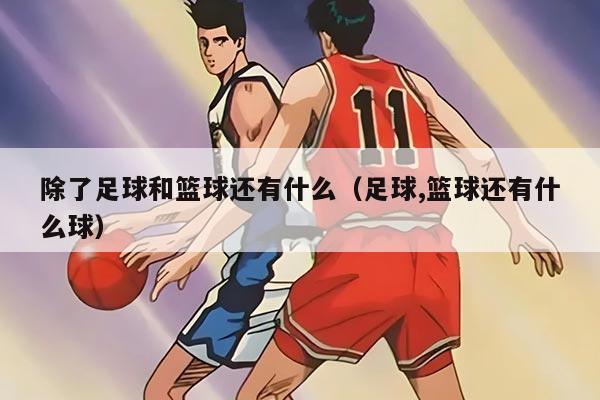 除了足球和篮球还有什么（足球,篮球还有什么球）