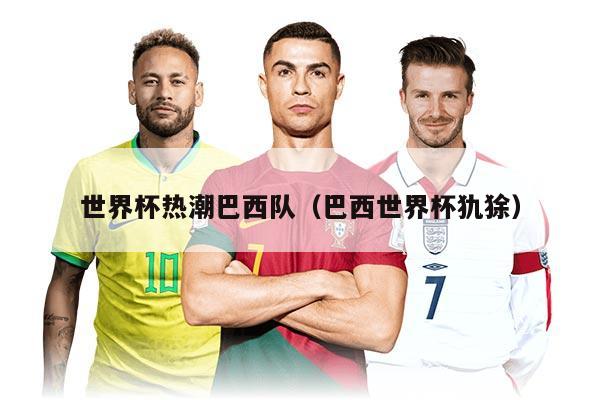 世界杯热潮巴西队（巴西世界杯犰狳）